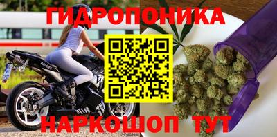 прущие грибы Гагарин