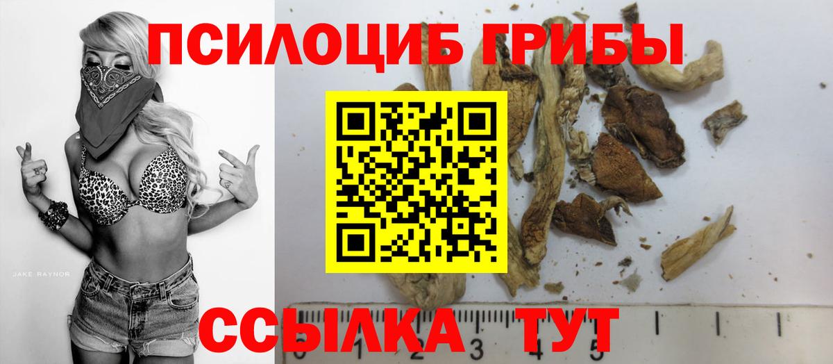 Псилоцибиновые грибы Psilocybine cubensis  Вход с VPN  Нерюнгри 